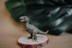 Load image into Gallery viewer, CollectA Figurine - Tyrannosaurus Rex Baby
