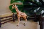Load image into Gallery viewer, CollectA Figurine - Reticulated Giraffe Calf
