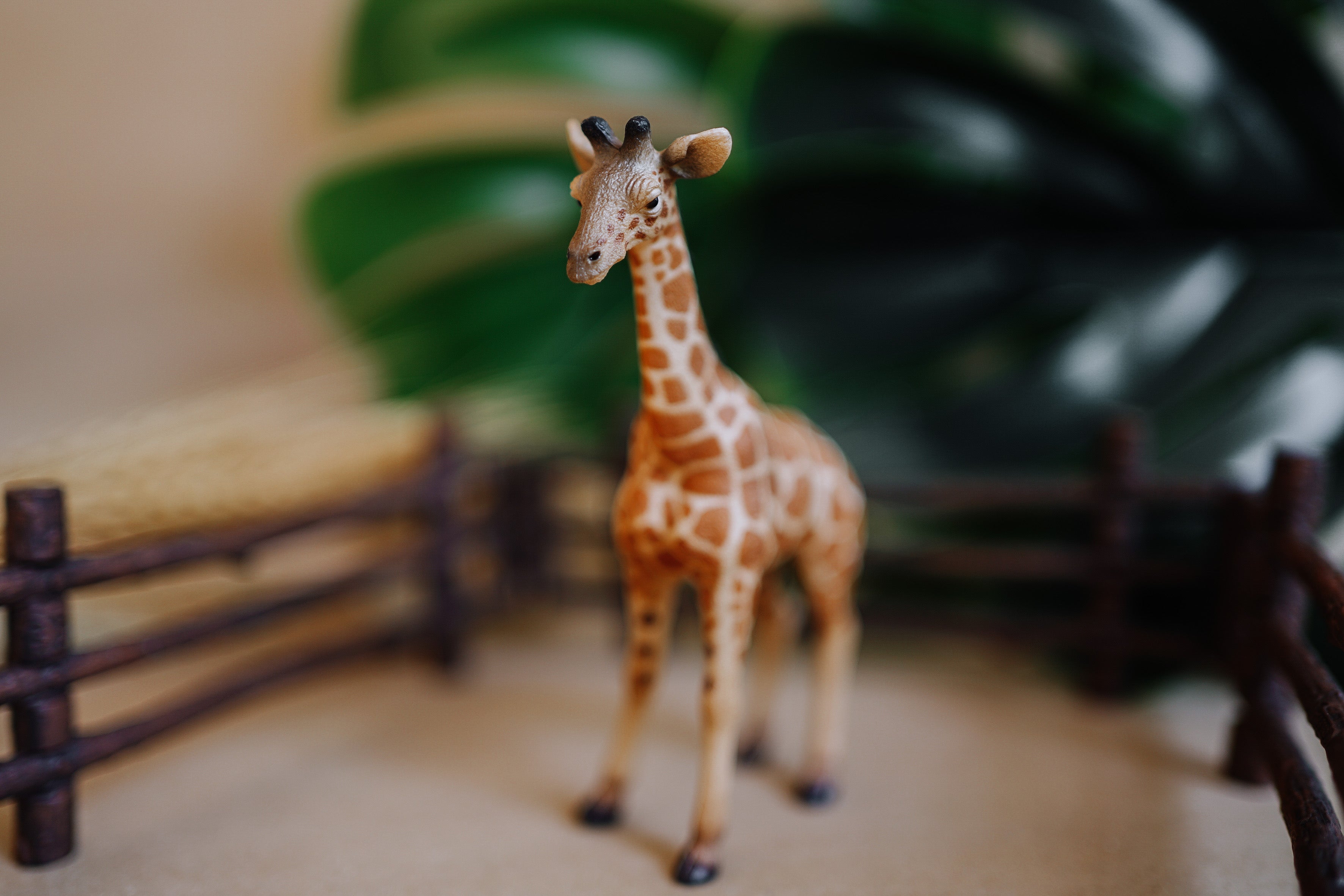 CollectA Figurine - Reticulated Giraffe Calf