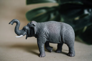 CollectA Figurine : Asian Elephant