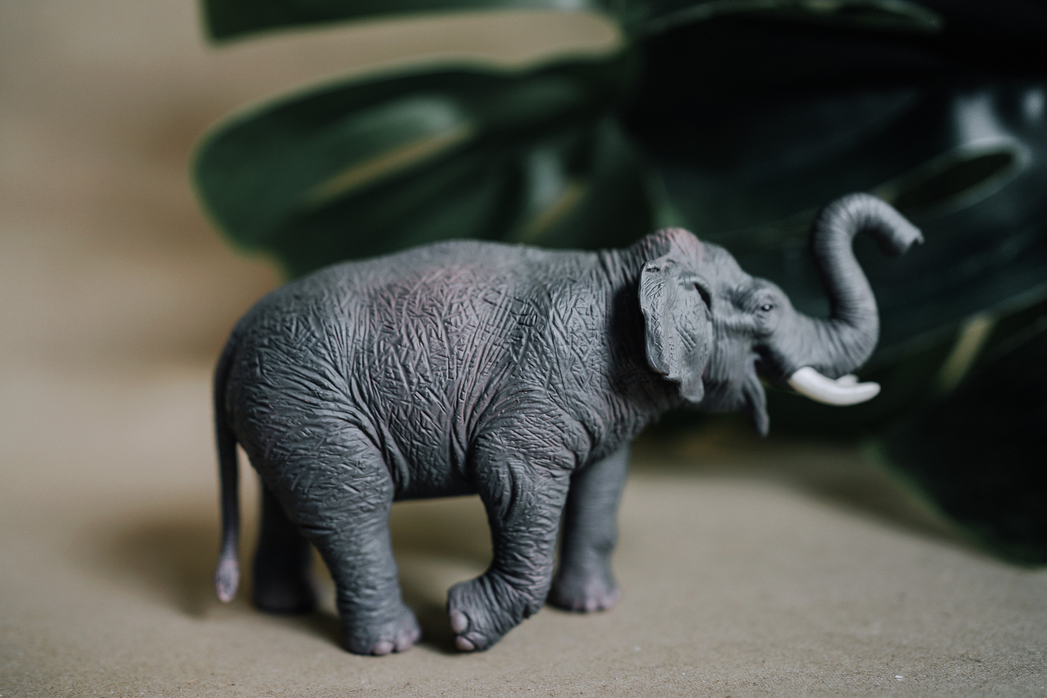 CollectA Figurine : Asian Elephant