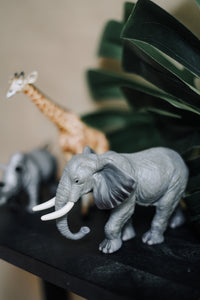 CollectA Figurine : Wildlife Set - 6 pcs