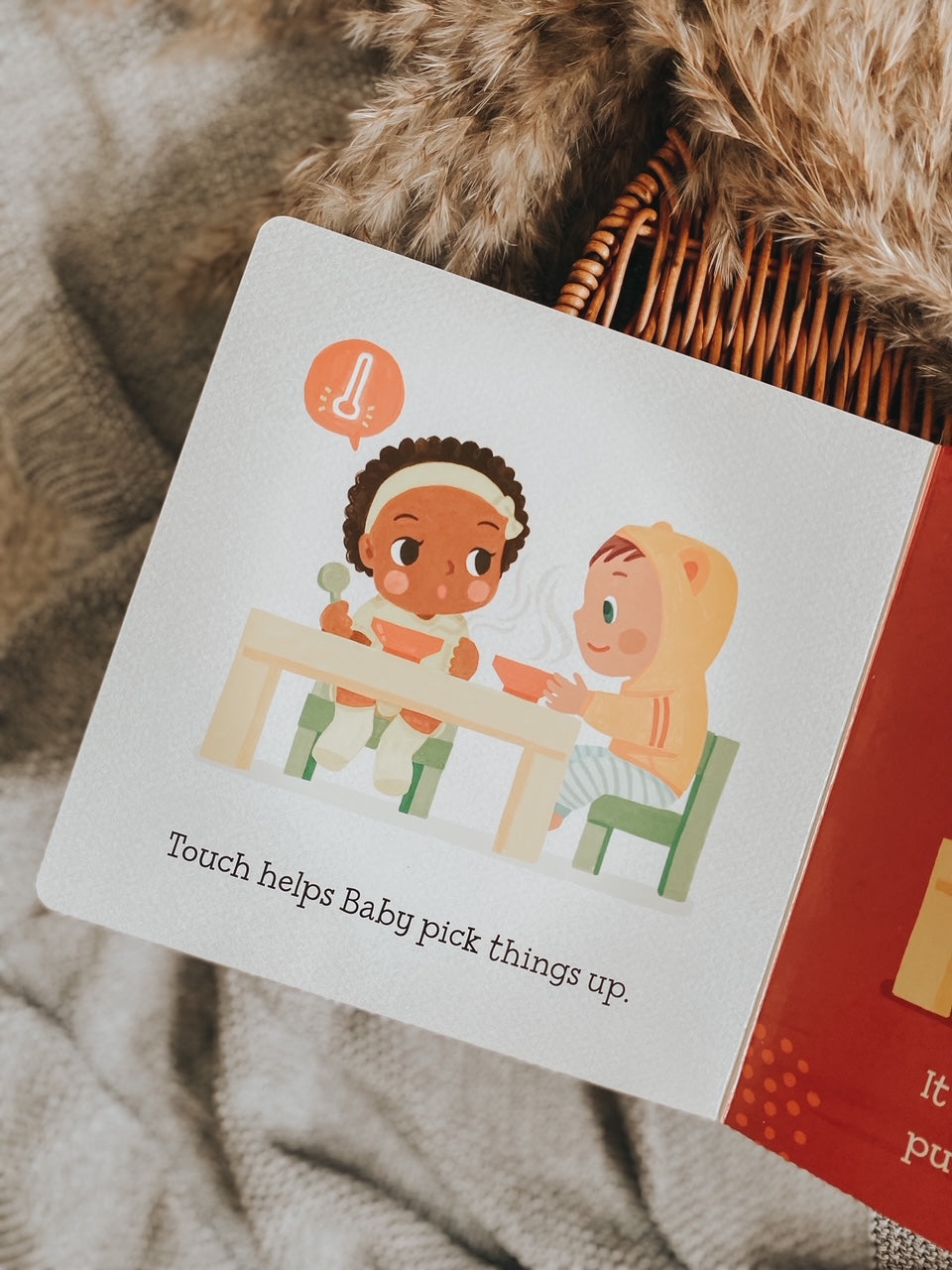 Baby Loves The Five Senses Books Series