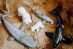 Load image into Gallery viewer, CollectA Figurine : Sea Life Set - 5 pcs
