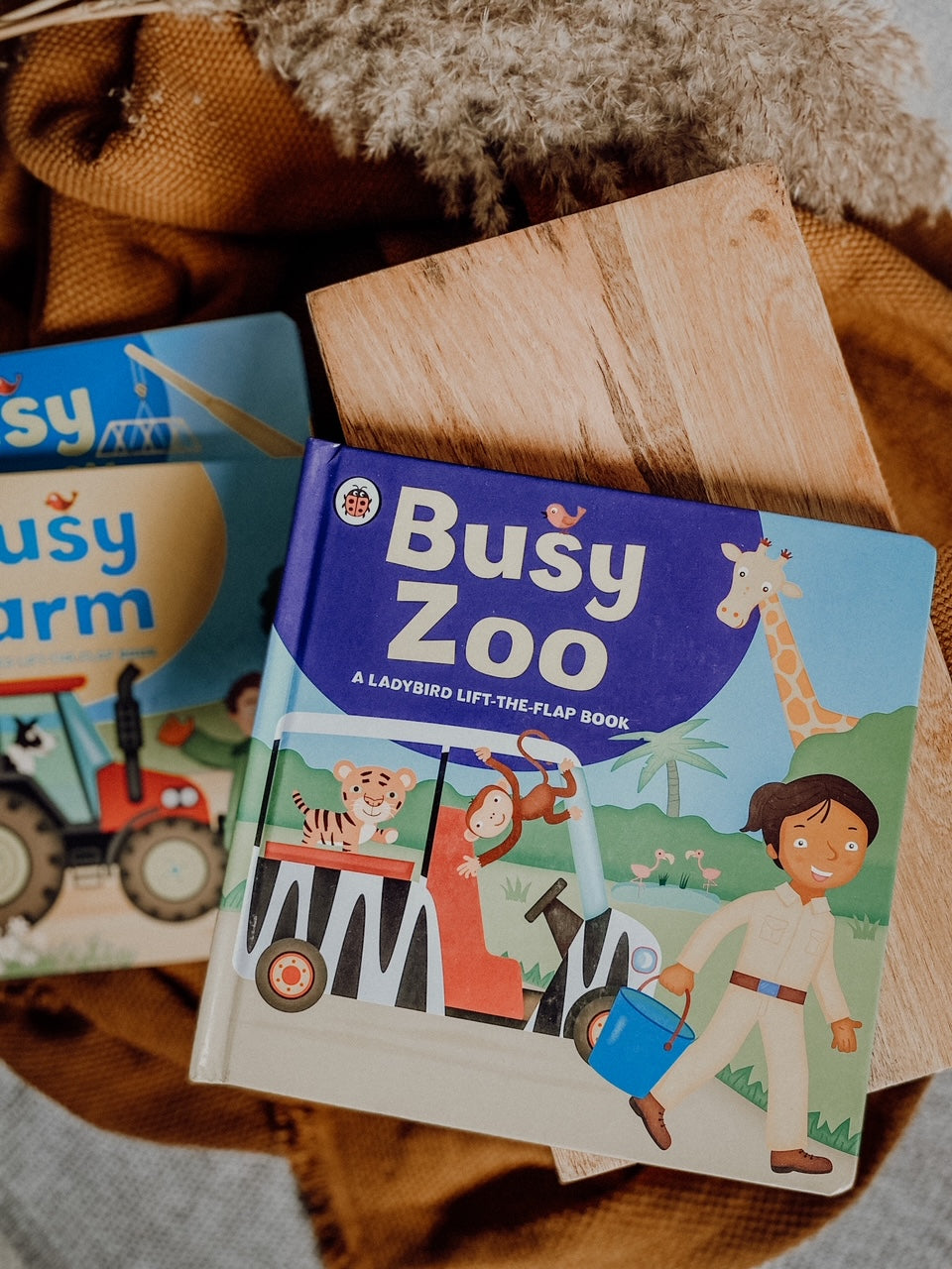 Ladybird Lift-The-Flap Book: Busy Series