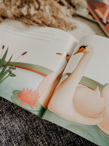 The Ugly Duckling