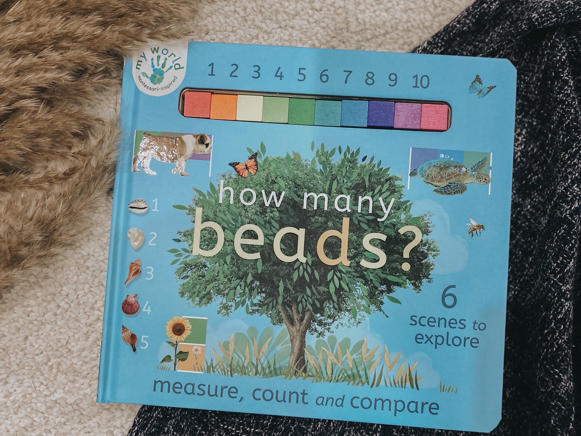 How Many Beads?: Measure, Count and Compare