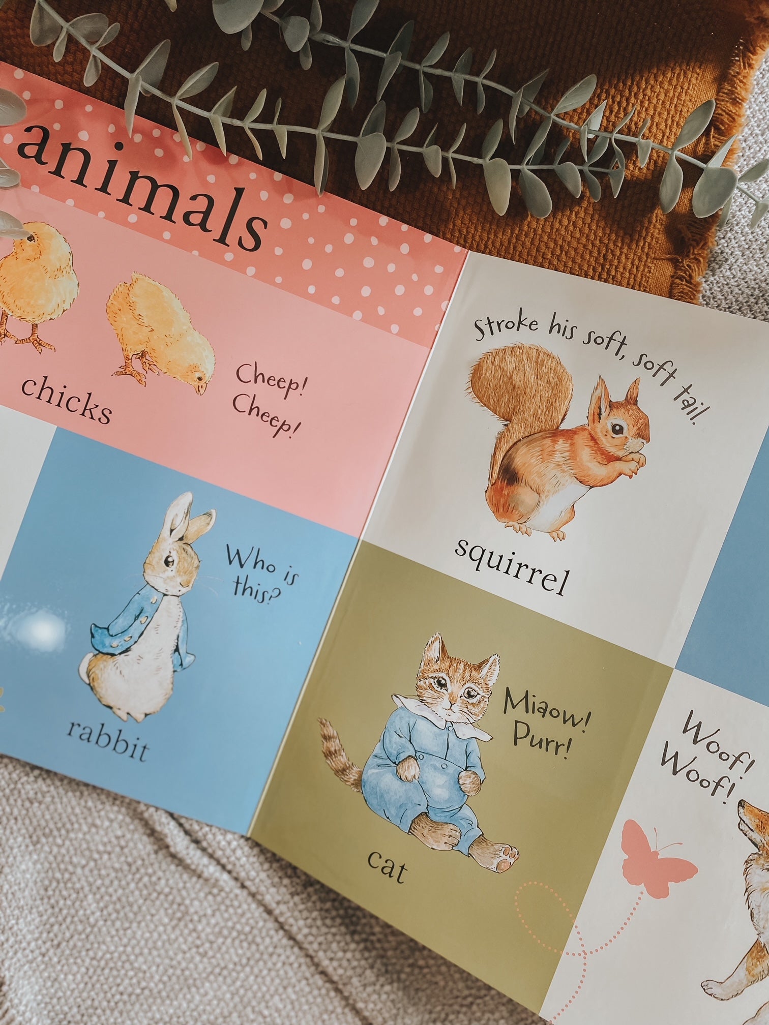 Peter Rabbit: Touch and Feel Playbook