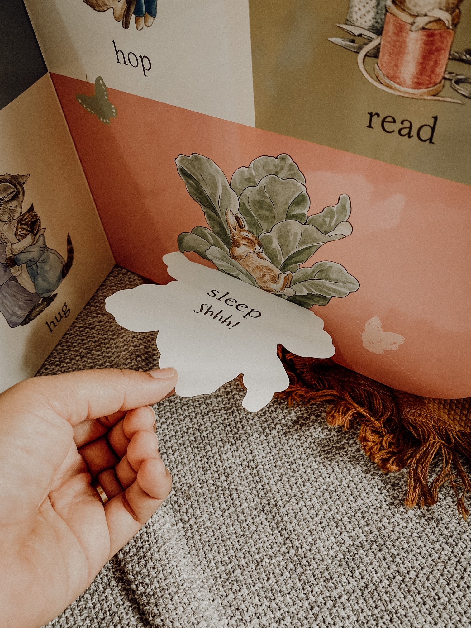 Peter Rabbit: Touch and Feel Playbook
