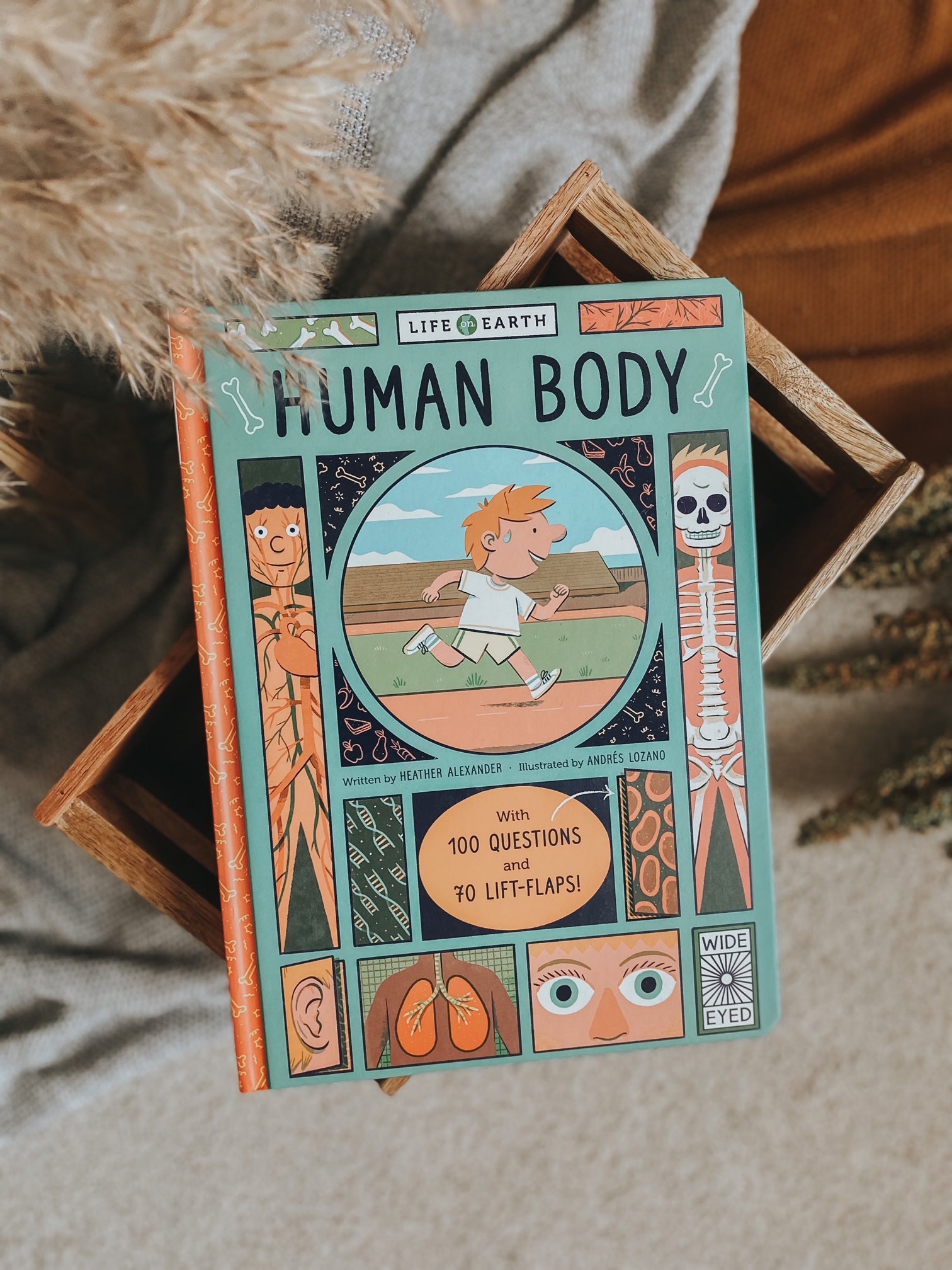 Life on Earth : Human Body (Lift-Flaps-Book)