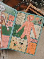 Load image into Gallery viewer, Life on Earth : Human Body (Lift-Flaps-Book)
