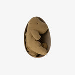 Load image into Gallery viewer, Gantosaurus in Egg
