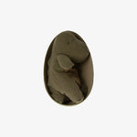 Load image into Gallery viewer, Gantosaurus in Egg
