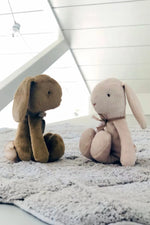 Load image into Gallery viewer, Soft Bunny
