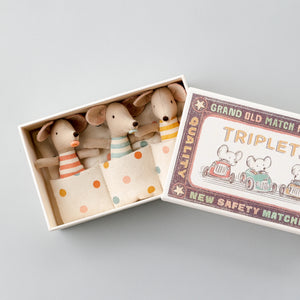 Baby Mice Triplets in Box