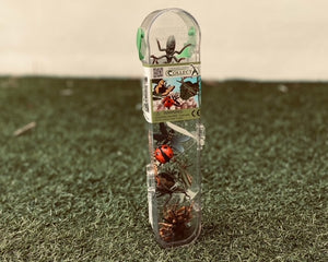 Mini Insects and Spider Set - The Little Je'EL.Co