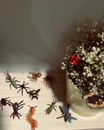 Load image into Gallery viewer, Mini Insects and Spider Set - The Little Je&#39;EL.Co
