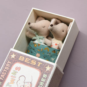 Baby Mice Twins in Box